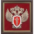 Герб Федеральной службы по контролю за оборотом наркотиков (ФСКН)